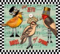 /album/cosas/bird-photos-collage-feb-2011-copy-jpg/